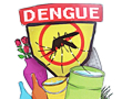 Evitar el dengue: Responsabilidad de todos