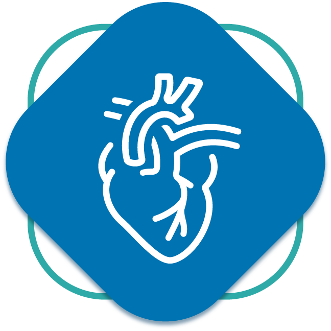 Diagnóstico cardiovascular