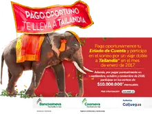 Modificado