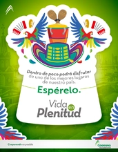 p_VEP_CARTAGENA_FEB2017