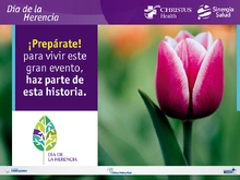 p_SIN_HERENCIA3_MAY2017