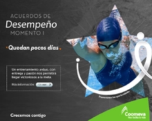 p_GH_MOMENTO1_ABR2019