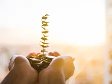 Img curso Econom&iacute;a solidaria 