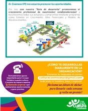 boletin_04