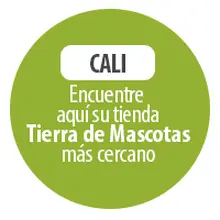 CALI