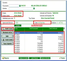 1. &iquest;Qu&eacute; visualizo en la consulta general de facturaci&oacute;n?