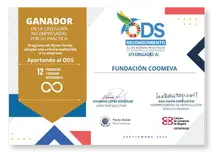 Img Bolet&iacute;n 7