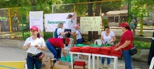 Voluntariado C&uacute;cuta
