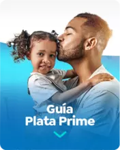 Gu&iacute;a Plata Prime
