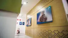 CENTRO MEDICO ARMENIA