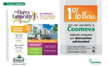 p_ESP_FLORES_MAR3