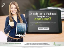 p_IPad_MINI