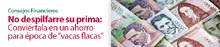42166_imagen