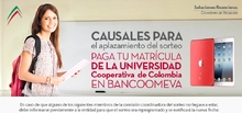 42305_imagen
