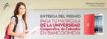 42304_imagen