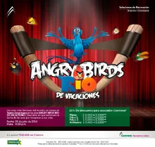 p_RYC_AngryBirds_JUL2014