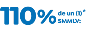 110 % 110 %