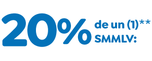 20 % por ciento 20 % por ciento