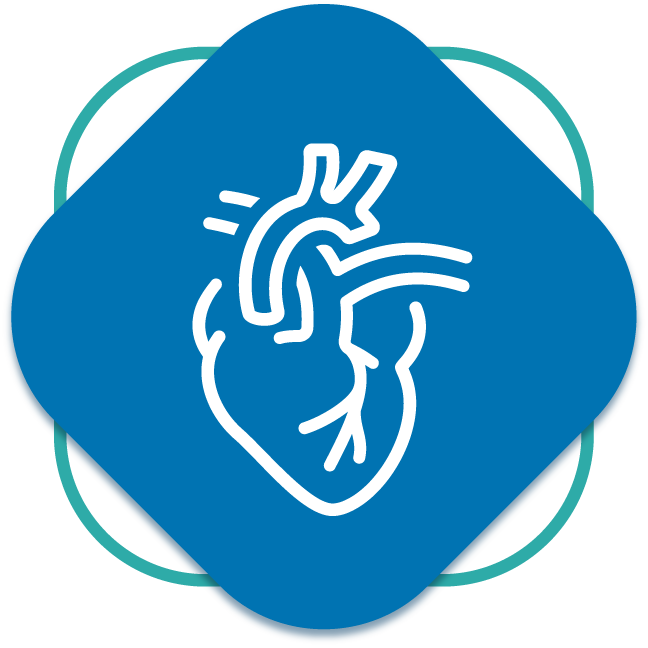 Diagnóstico cardiovascular Diagnóstico cardiovascular
