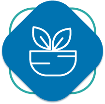 Medicinas alternativas