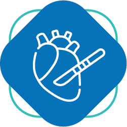 Cirugía cardiovascular Cirugía cardiovascular