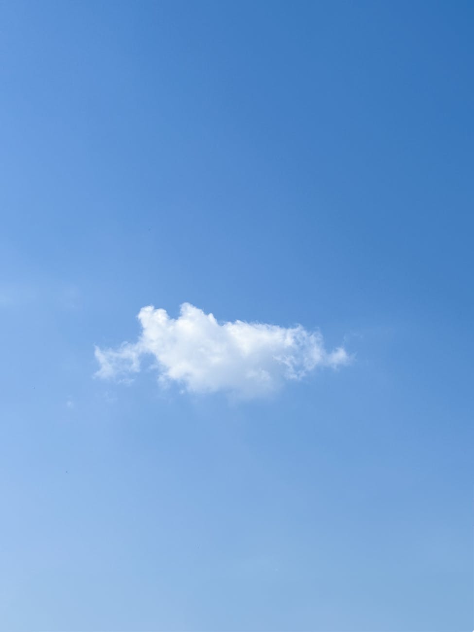 Cielo Coomeva