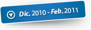 Diciembre de 2010 - Febrero de 2011